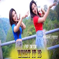 Download Lagu Kelud Production - Dj What It Is FYP Tiktok Enak Banget.mp3 Terbaru