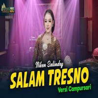 Download Lagu Niken Salindry - Salam Tresno Versi Campursari.mp3 Terbaru